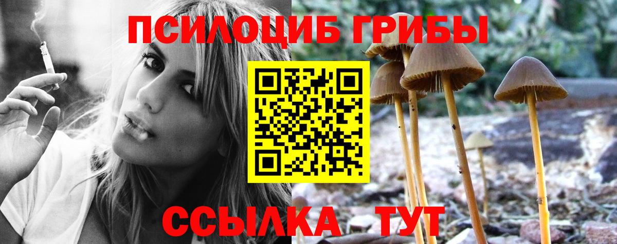 Псилоцибиновые грибы мицелий  дарнет шоп  Кумертау  Вход с VPN 